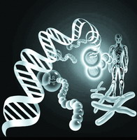 为癌症治疗提供科学依据