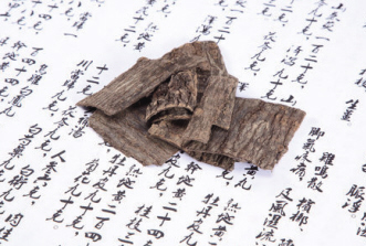 杜仲的由来