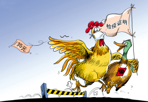 禽流感病毒 怕热怕光怕消毒