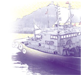 迷你新泽西加东海岸