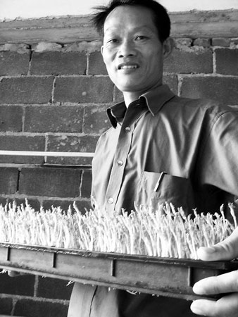 男子用旧报纸种出高档蔬菜