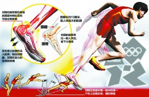 刘翔受伤引关注 专家：跟腱之伤非运动员专利