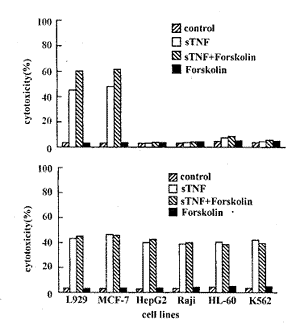 PKA对跨膜型和分泌型TNF-α胞毒效应的影响