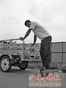 济南市场发现“石头瓜” 一米多高摔不破