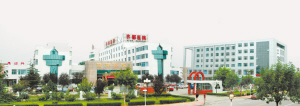 做医生 做个好医生——记山东省淄博市临淄区妇幼保健院妇产科主任王延国