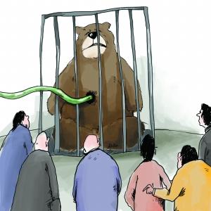 归真堂邀72位意见领袖参观熊场未获得友善回应