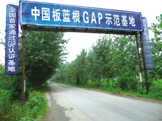 GAP十年：在规范中厚积薄发