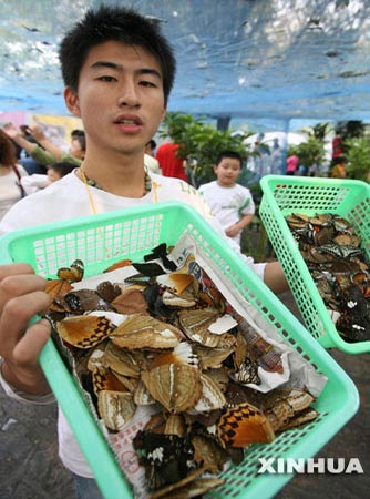 济南蝴蝶展中近8000只被游客抓捏致死