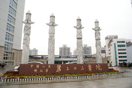 解放军303医院成功实施最少年龄单肾移植手术