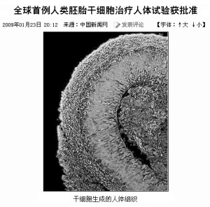 跑步进入细胞神经修复时代