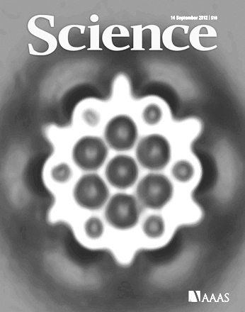 科学快讯：社会性隔离损害了脑子的“绝缘”