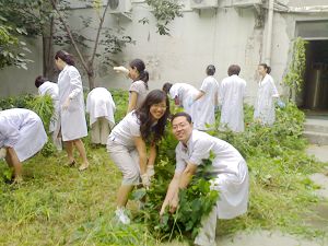 化学生物学与药学院开展“美化环境，义务拔草”活动