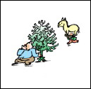 迎大寒