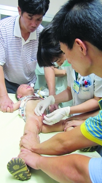 两岁男童命根遭藏獒咬伤被送医