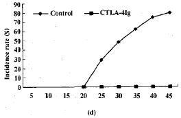 关节炎中B7：CD28/CTLA-4共刺激途径的实验研究