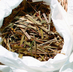 中国好军医：秋燥咳嗽验方