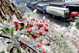 药品“春运”：穿越暴风雪