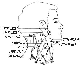 颈部淋巴结切除术