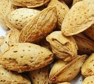 健康杂谈：巴旦木有助于预防心脏病