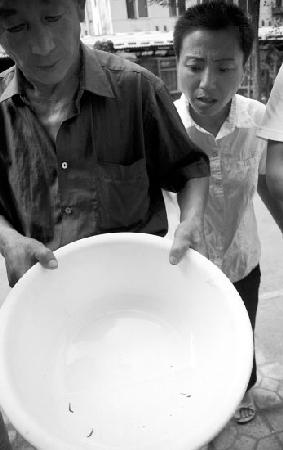 居民家自来水流出蚂蝗