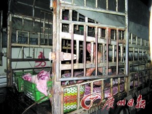 屠宰户当街给母猪肉注水 分解后摆上台面