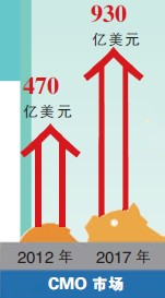 全球CMO五大族群