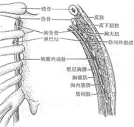 乳癌扩大根治术