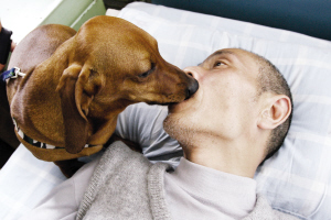男子路边发脑溢血 爱犬不让120靠近