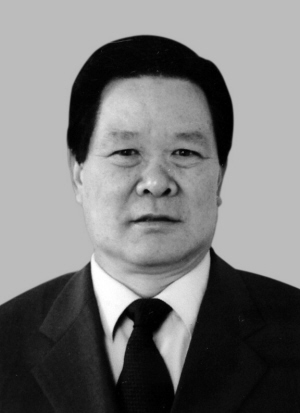 益气通络方
