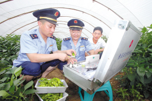 农药残留检测到菜棚