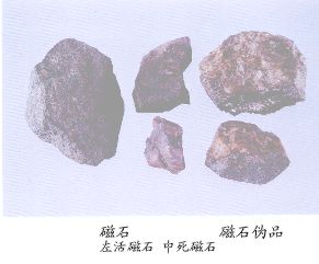 磁石（Cishi）Masnetitum