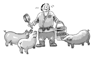 百姓能效仿柔道队养猪吗