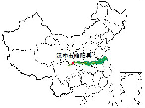 秦岭深处 贫病的阴霾仍未散去