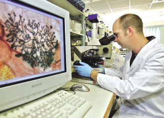 黑素瘤新药：拼的是速度