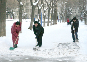 瑞雪降校园，师生忙扫雪