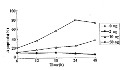 高三尖杉酯碱通过激活Caspase-3诱导T-淋巴细胞白血病细胞Molt-3凋亡
