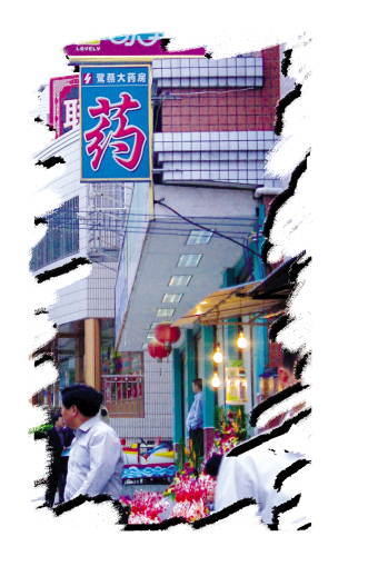 鹭岛起“风”