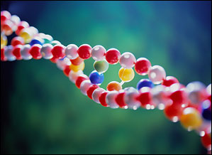 英国科学家确定七种常见病基因