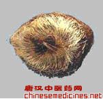 最香和最臭的中药
