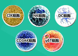 5A肿瘤生物治疗杀伤肿瘤干细胞 防止复发转移