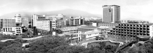 追求患者利益最大化——南方医科大学南方医院成功转制六年纪实