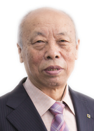 段富津主要成就