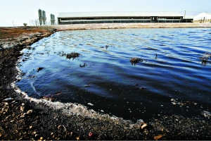 探访甲流暴发地：寻疫情元凶