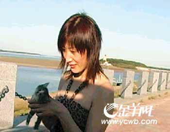 虐猫女身份揭秘：同事称其平时见血都会休克