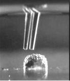 科学家首次3D打印出“活体组织” 未来有望应用于医疗领域