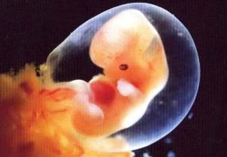 试管婴儿大揭秘：暗箱中操作 成功几率为50%