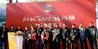 2015，玛咖产业决胜终端