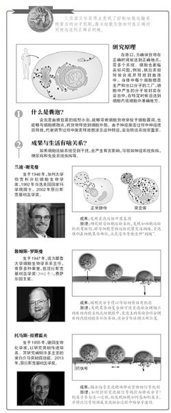 破解细胞运输 美德三人分享诺奖