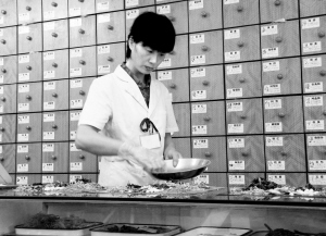 中药材快速降价