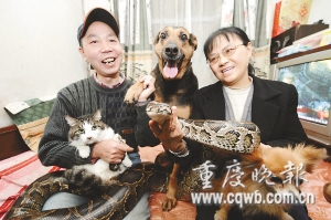 老夫妻家中养条蟒蛇 夜夜相伴入眠